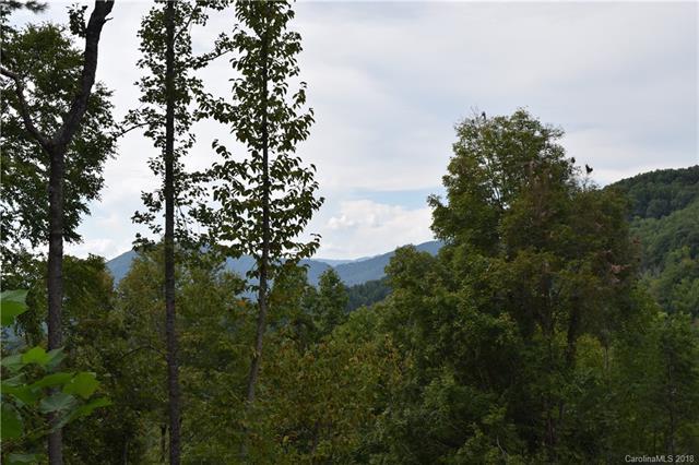 TBD Mine Creek Road - Photo 1