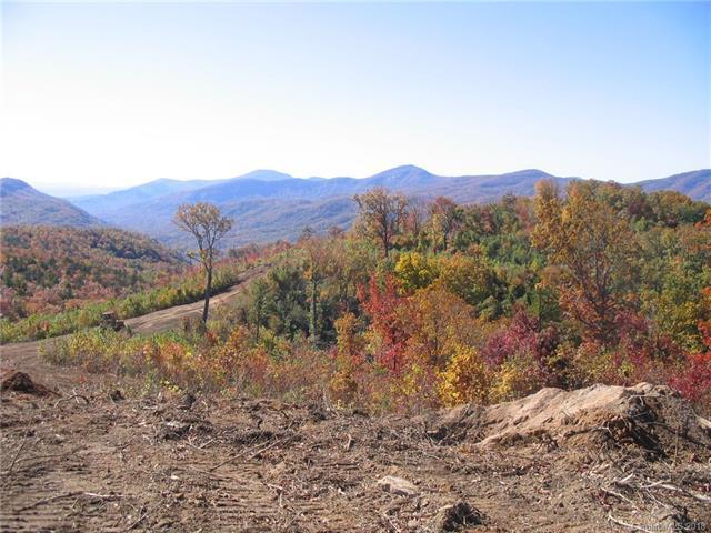 TBD Wolf Pen Road - Photo 1