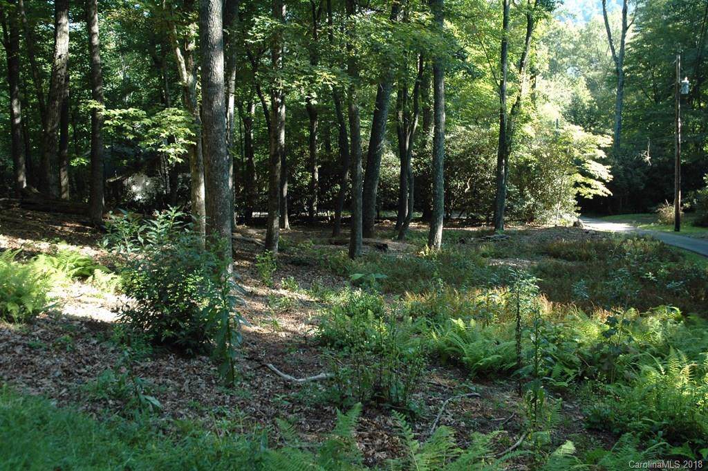 0 Fairway Loop - Photo 1