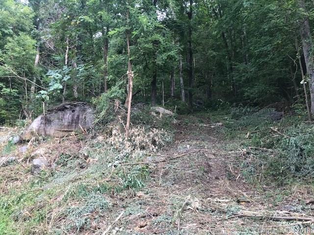 0000 Cascada Vista Drive - Photo 1