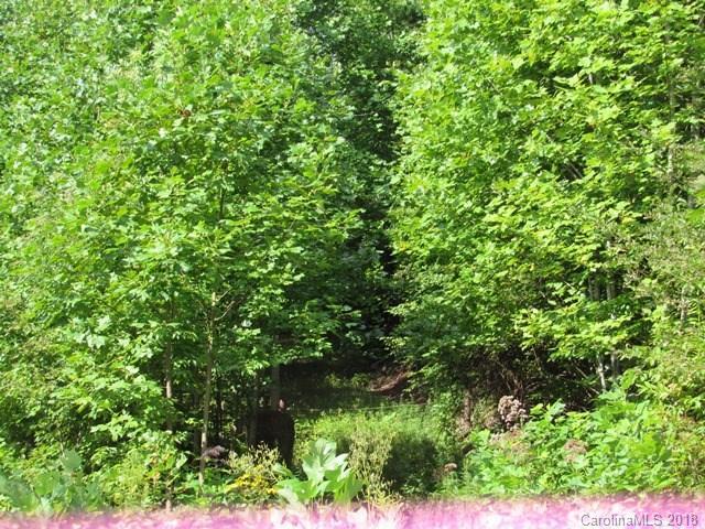 TBD Hughes Gap Road - Photo 1