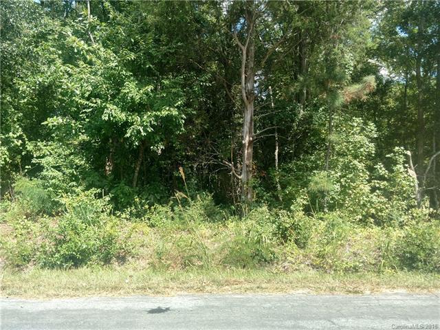 00 Riverview Road - Photo 1