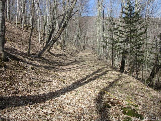 0 Roan Drive - Photo 1