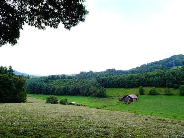 455 Moses Branch Road - Photo 1