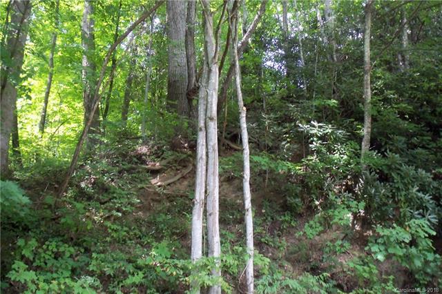 Lot 61 Setzer Cove Road - Photo 1 Lot 61 Setzer Cove Road - Photo 1