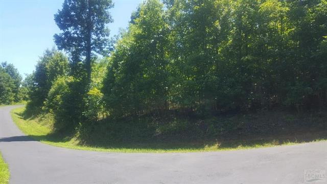 V/L 64 Grouse Drive - Photo 1