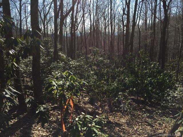 9999 Summer Haven Road - Photo 1