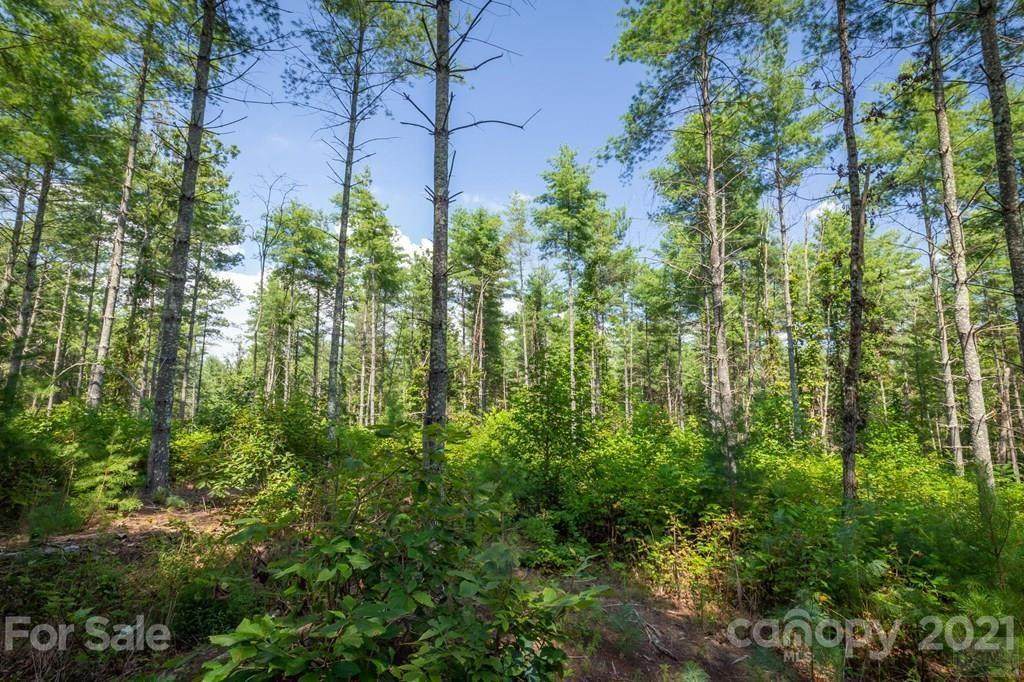 4562 Firetower Road - Photo 1