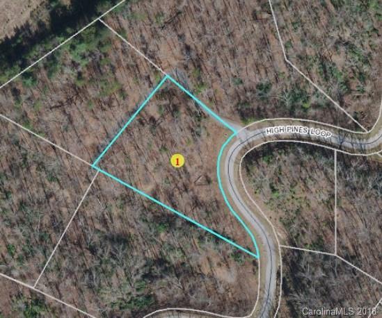 LT 106 High Pines Loop - Photo 1