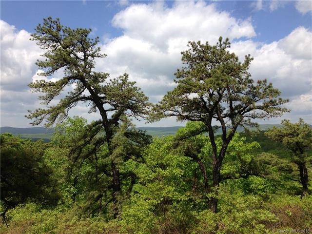 13 White Tail Trail - Photo 1
