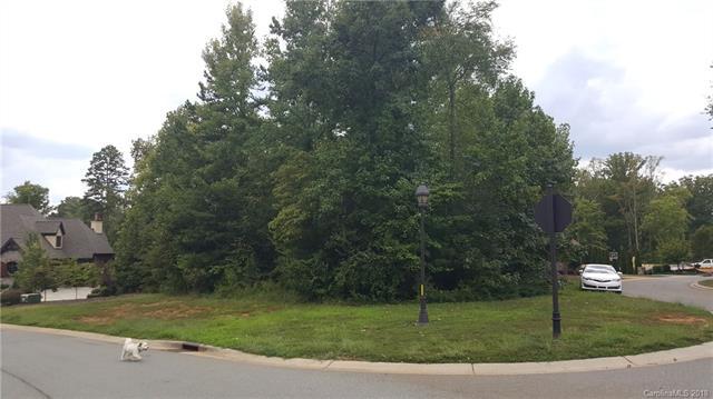 Lot #118 Skye Lochs Drive - Photo 1