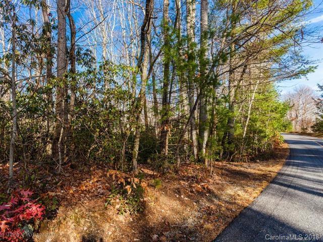 0 Pisgah Forest Drive - Photo 1