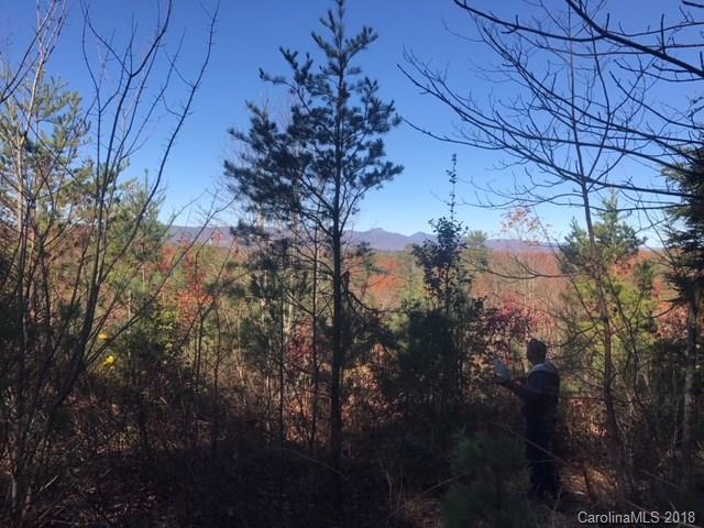 3833 Frank Whisnant Road - Photo 1