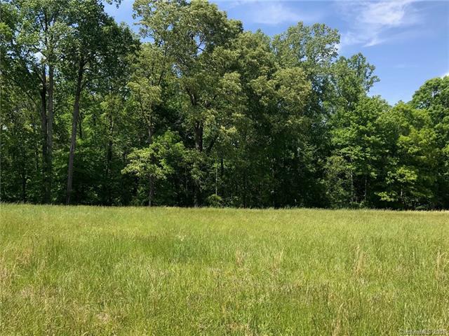 2355 Landrum Mill Road - Photo 1