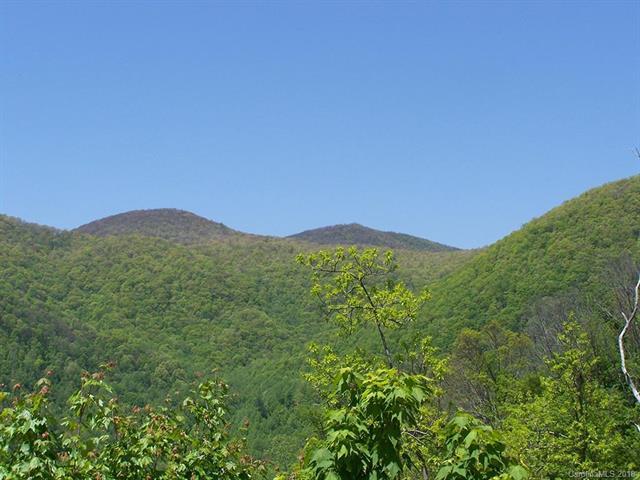 000 Happy Hollow Road - Photo 1