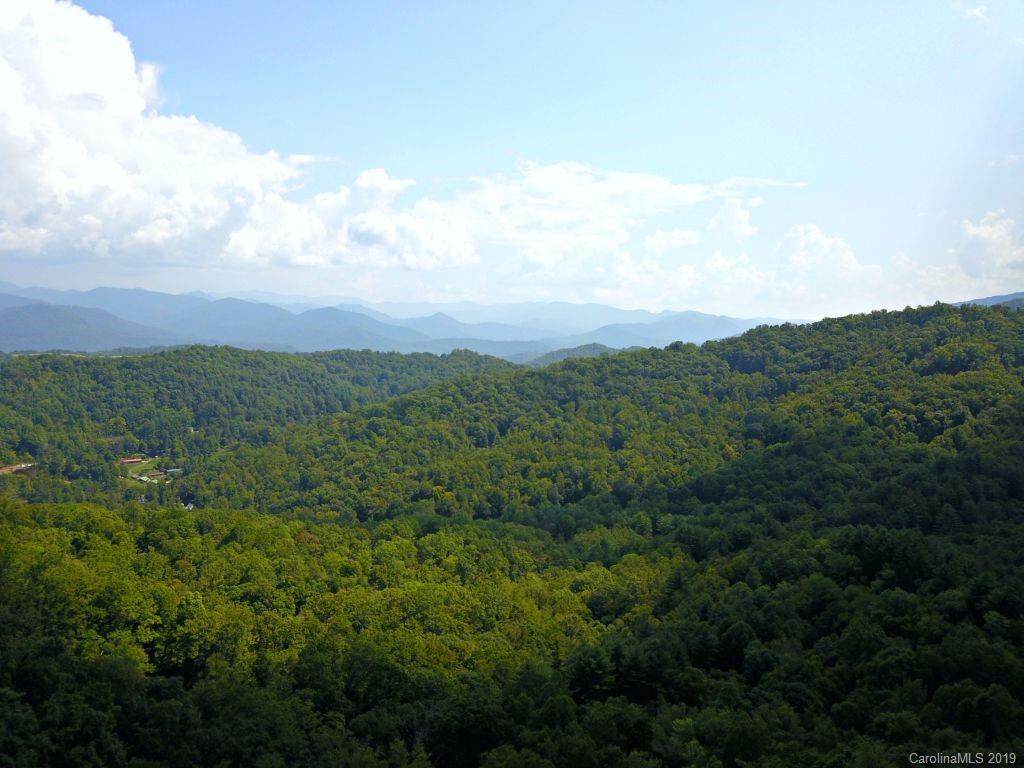 0 Mountain Forest Estate - Photo 1