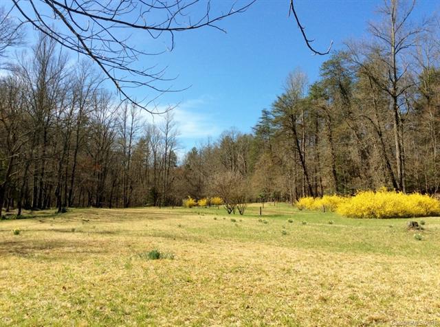 0 Fire Tower Road - Photo 1