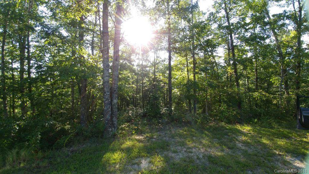 00 Fox Ridge Trail - Photo 1