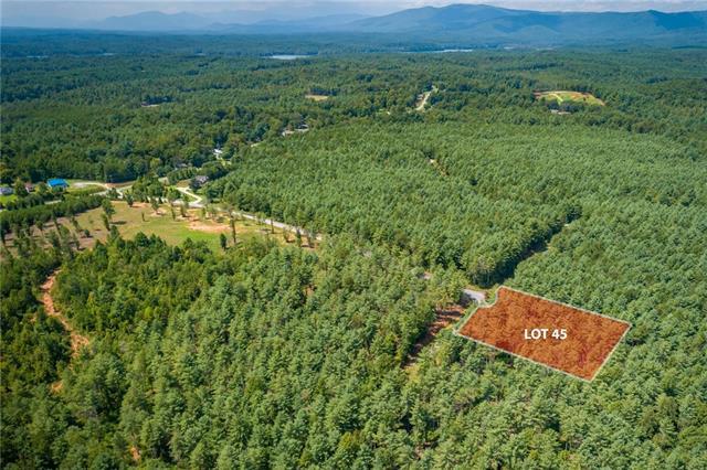 4584 Firetower Road - Photo 1