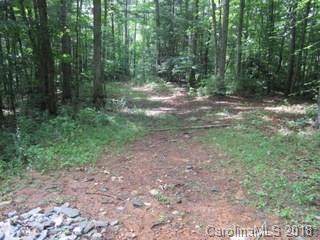 00 Ashland Mountain Road - Photo 1
