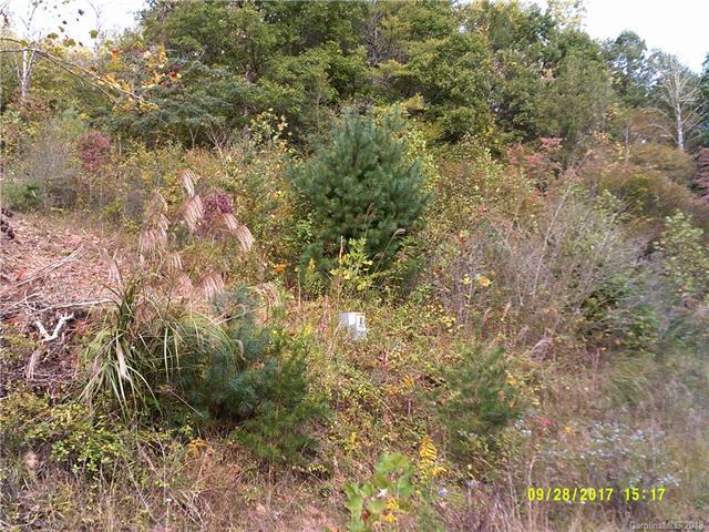 00 Waters Edge Lane - Photo 1