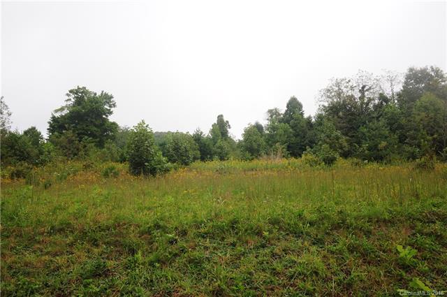 99999 Bald Mountain Church Road - Photo 1