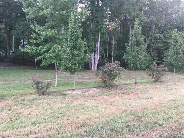 Lot 9 Riverstone Drive - Photo 1