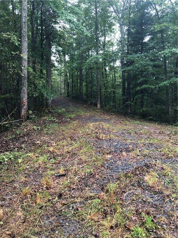 00 Log Cabin Lane - Photo 1