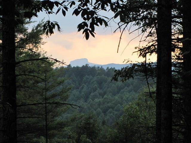 Lot# 705 Highland River Road - Photo 1