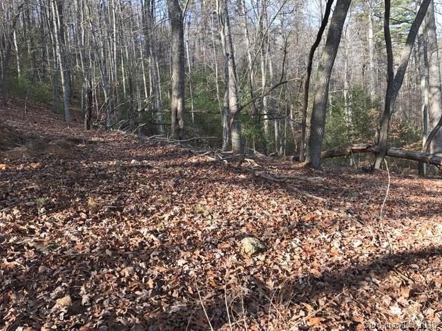 TBD Stoneridge Trail - Photo 1