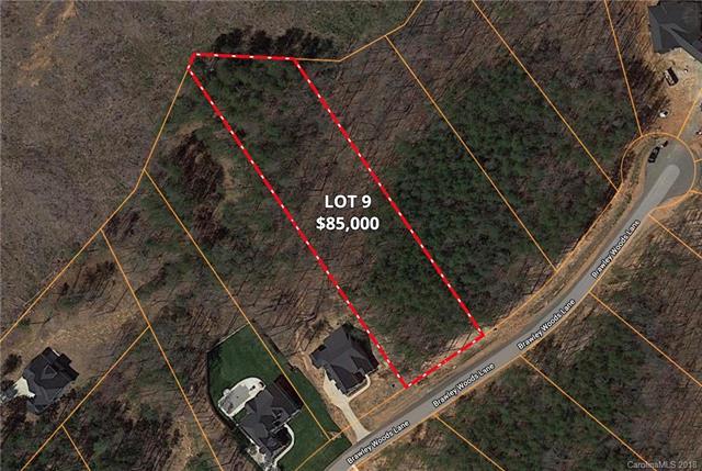 131 Brawley Woods Lane - Photo 1