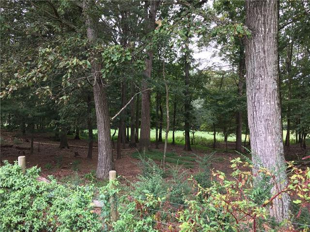 00 Houston Mill Road - Photo 1
