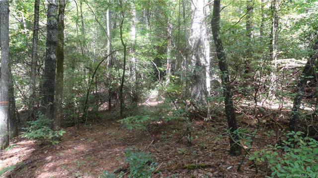 00000 Greenbriar Woods Drive - Photo 1