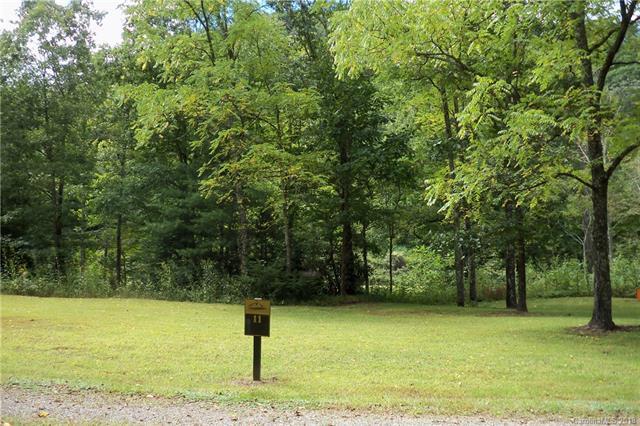 Lot 11 Tumbling Fork Drive - Photo 1