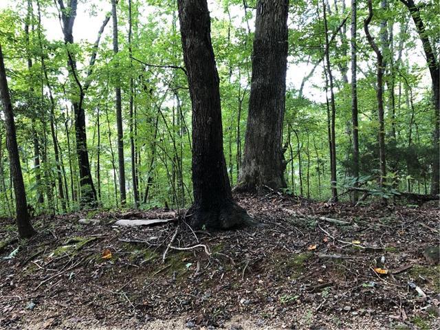 Lot A-2B Howard Gap Road - Photo 1
