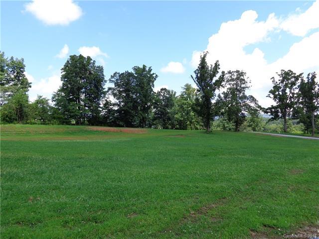 Lot #115 Blacksmith Run Drive - Photo 1