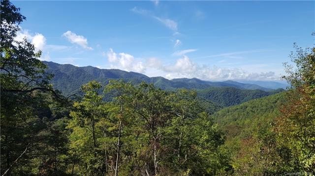 TRACK B Picnic Gap Road - Photo 1