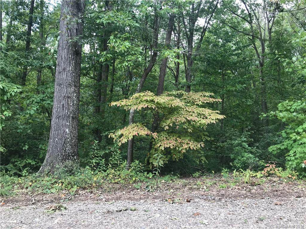 000 Goat Road - Photo 1