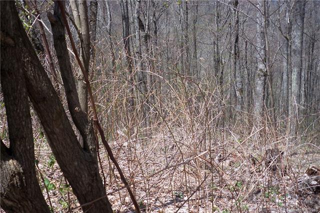 Lot 503 Slippery Rock Road - Photo 1