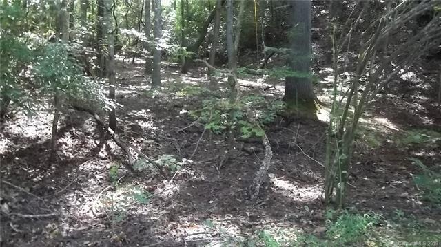 0 Timbertop Lane - Photo 1