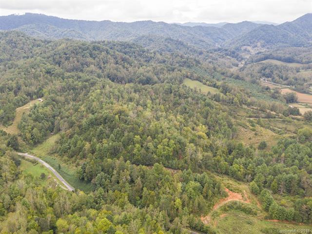 00000 Griffin Branch Road - Photo 1