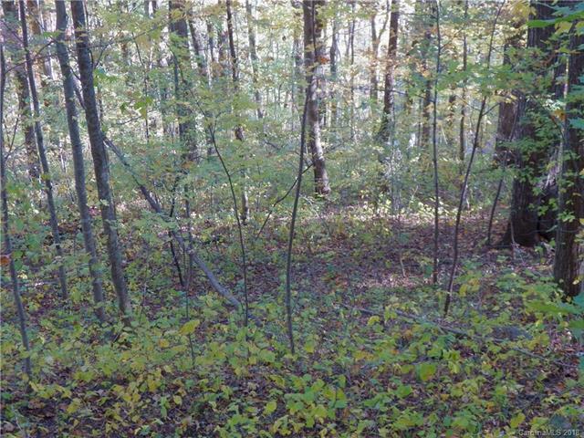 00 Greenview Drive - Photo 1