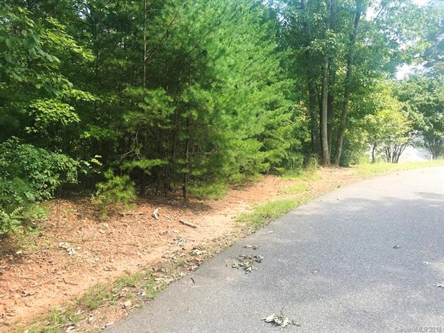 LOT 93 Woodland Circle - Photo 1
