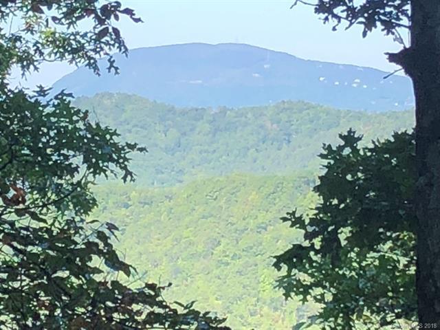 TBD Old Toxaway Road - Photo 1