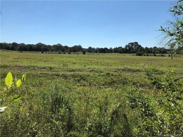 3820 Red Doc Road - Photo 1