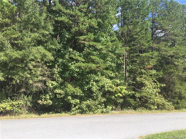 53 Pawnee Trail - Photo 1