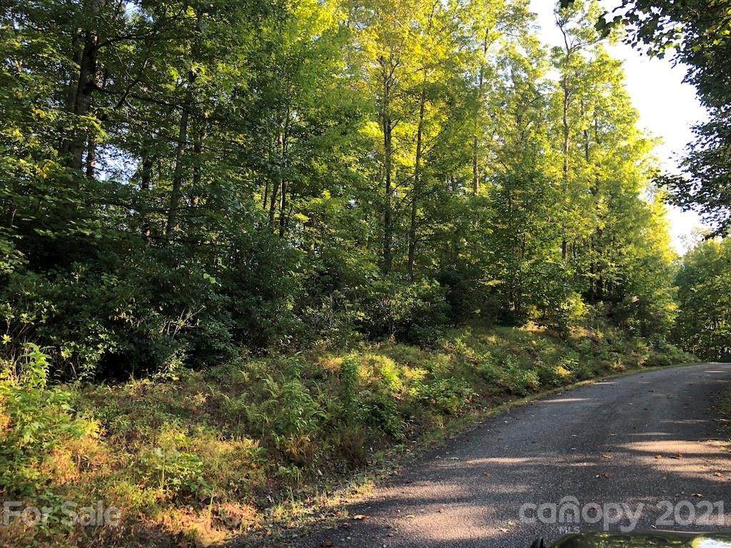 TR106 Ladd Ridge - Photo 1