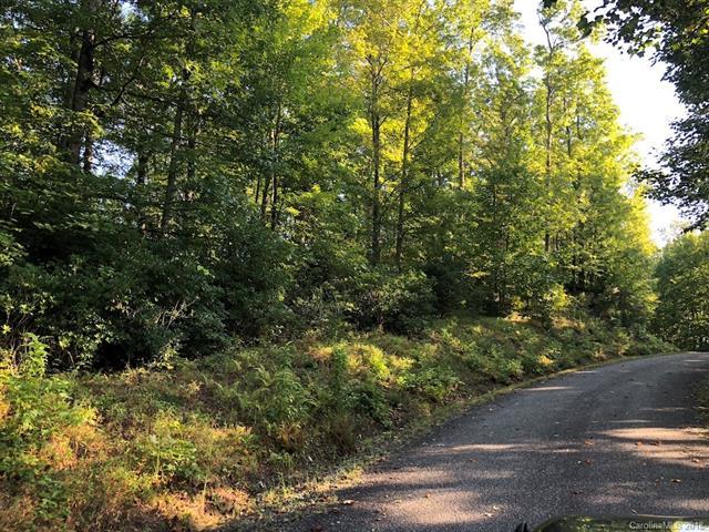 TR106 Ladd Ridge - Photo 1