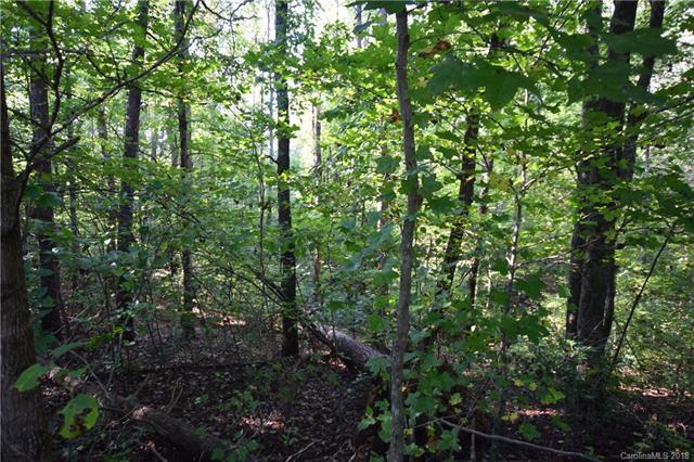 10 & 12 Stacy Hollow Road - Photo 1