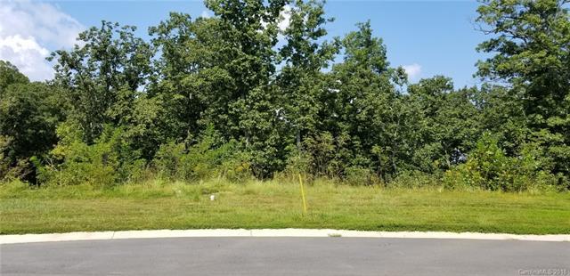 23 Craftsman Overlook Ridge - Photo 1